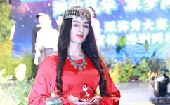 tube8公交车日本人hd